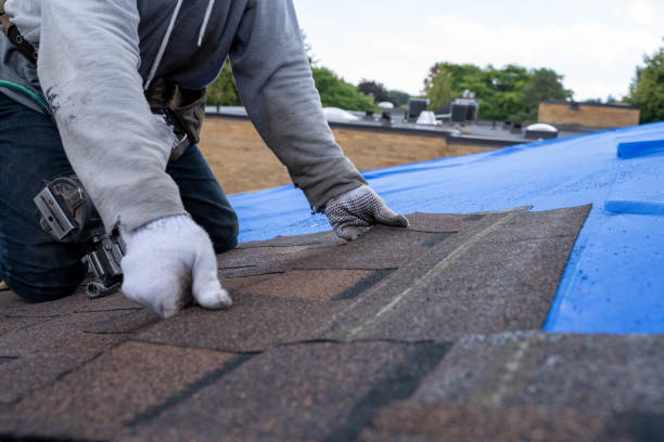 Quick and Trustworthy Emergency Roof Repair Services in Sumter, SC